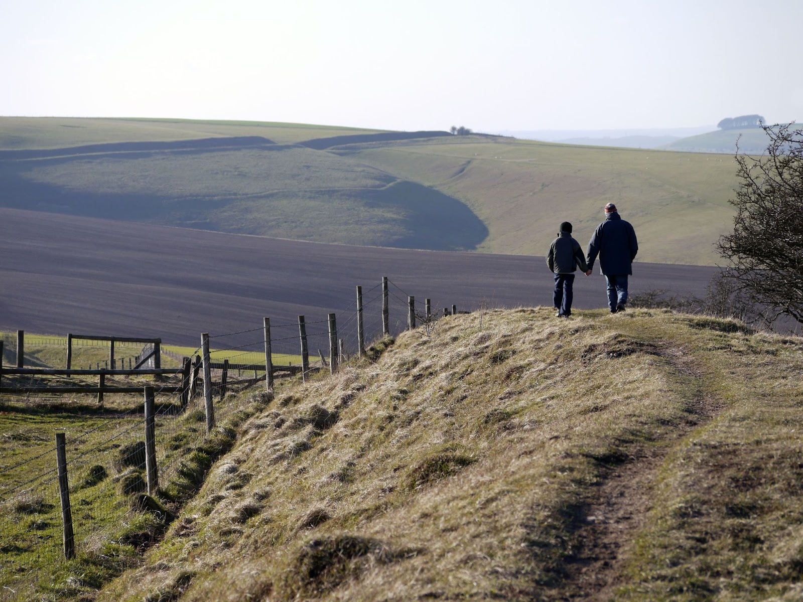 father and son walks hand-in-hand through a field