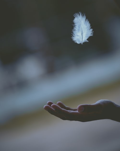 a hand catches a falling white feather