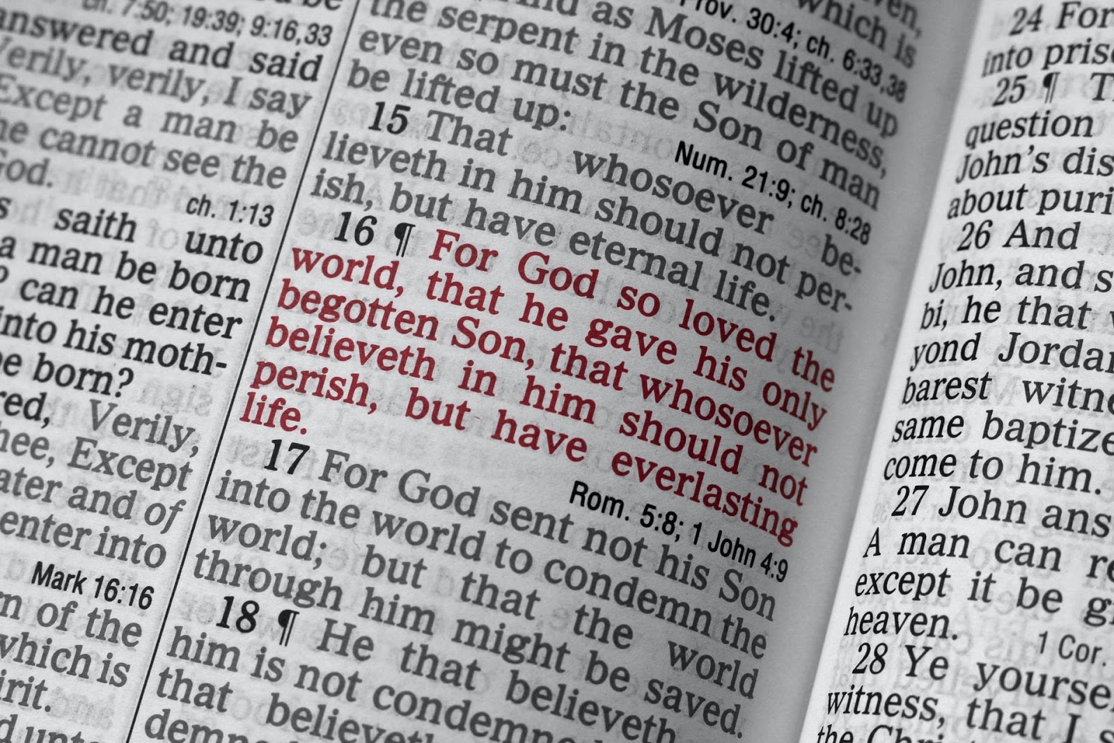 close up of bible verses