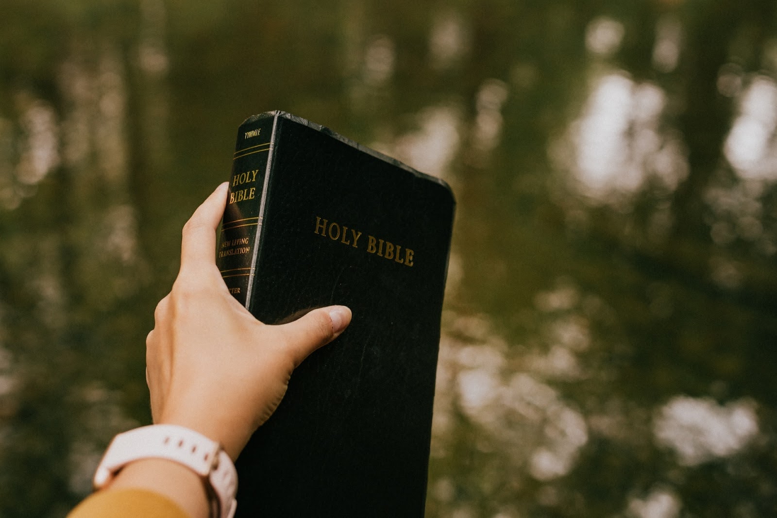 a person holding a holy bible