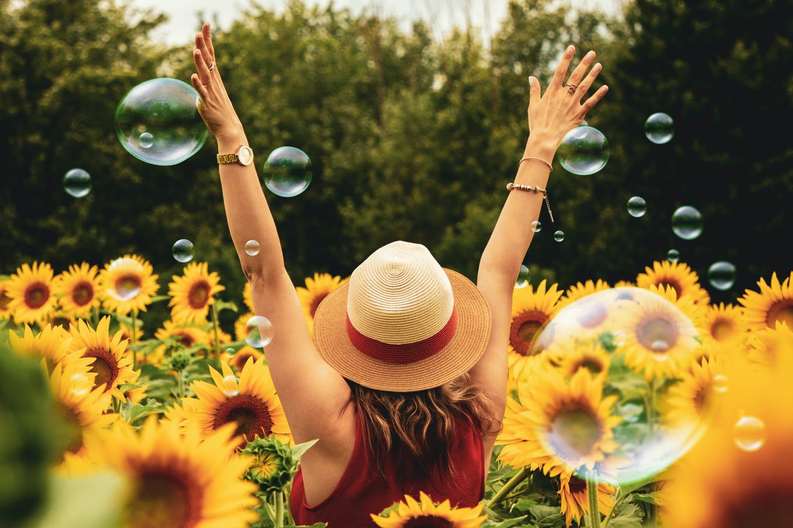 Woman standing in a field on sunflowers with hands in the air.