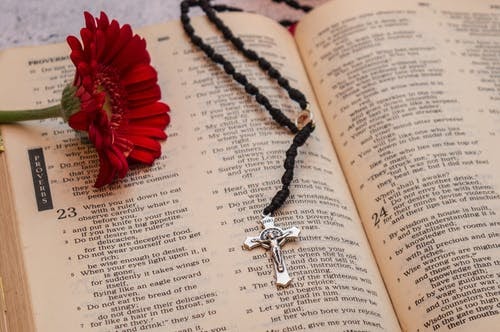 Cross necklace and a flower sit on the Bible
