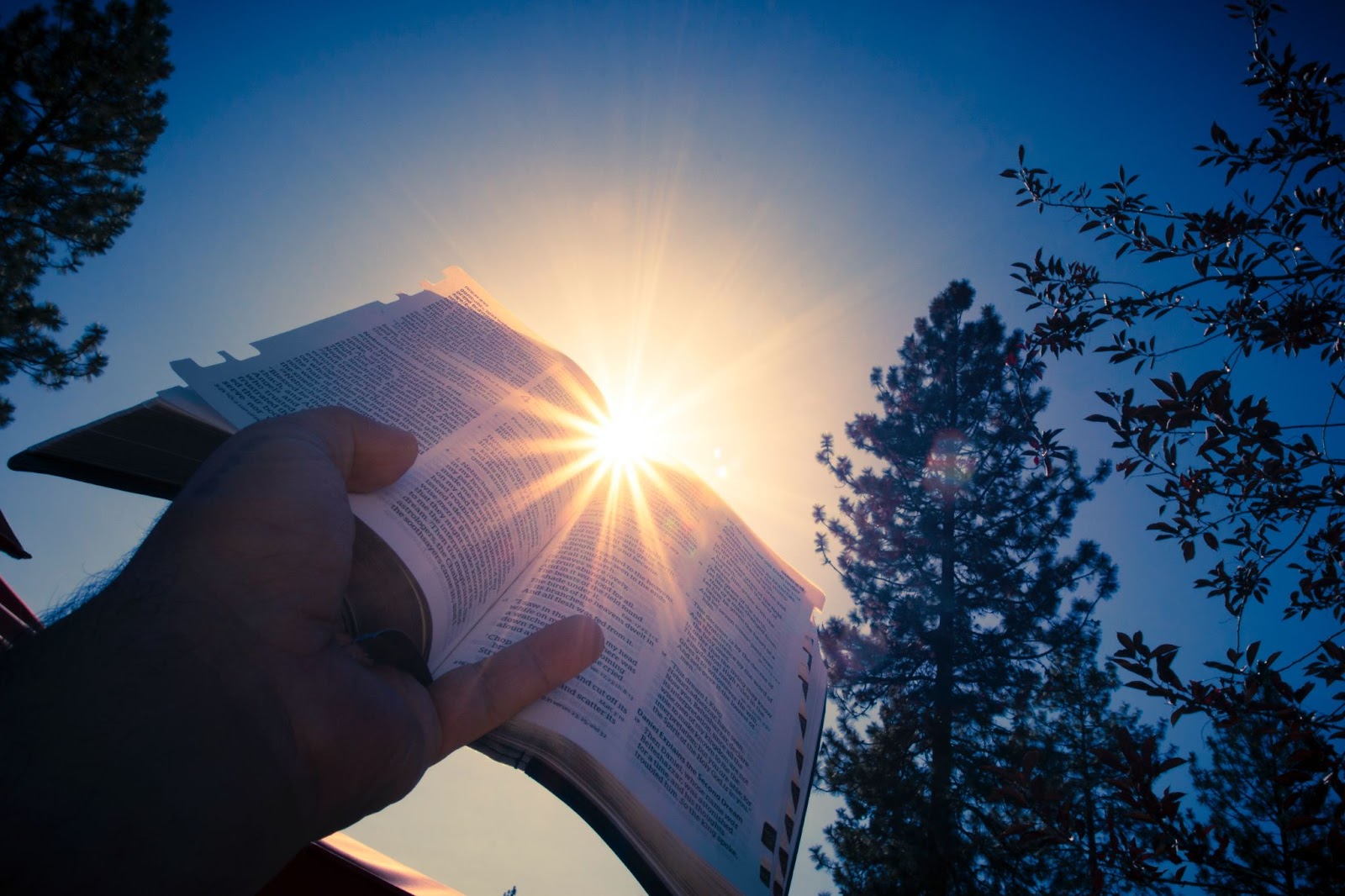 person holding Bible up to the sun