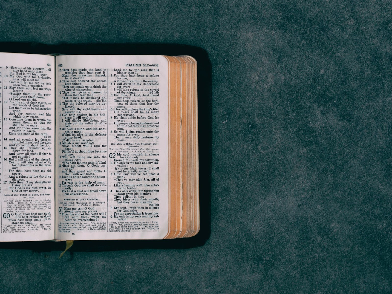 Open scriptures against a dark green background