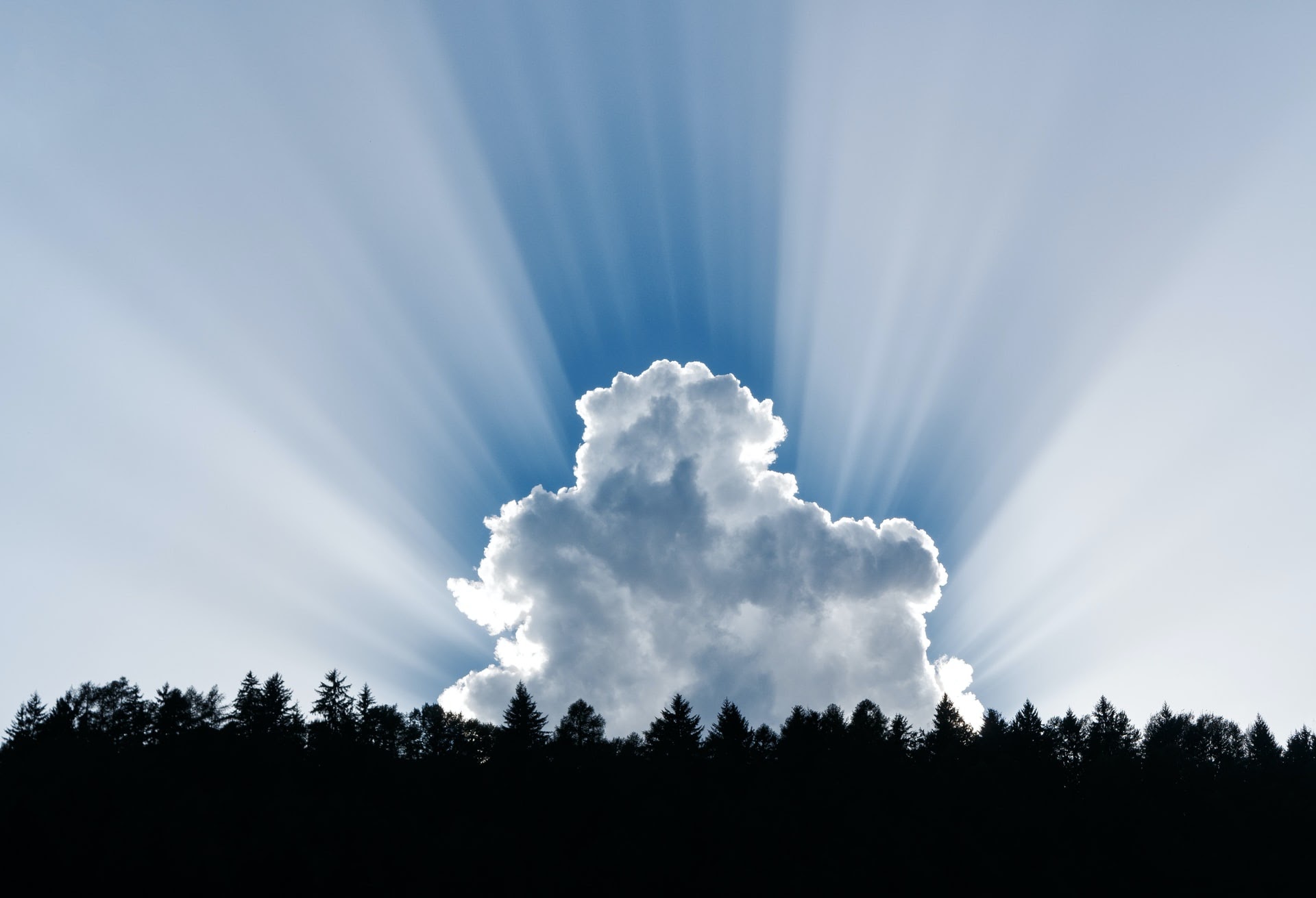a cloud raising over treetops