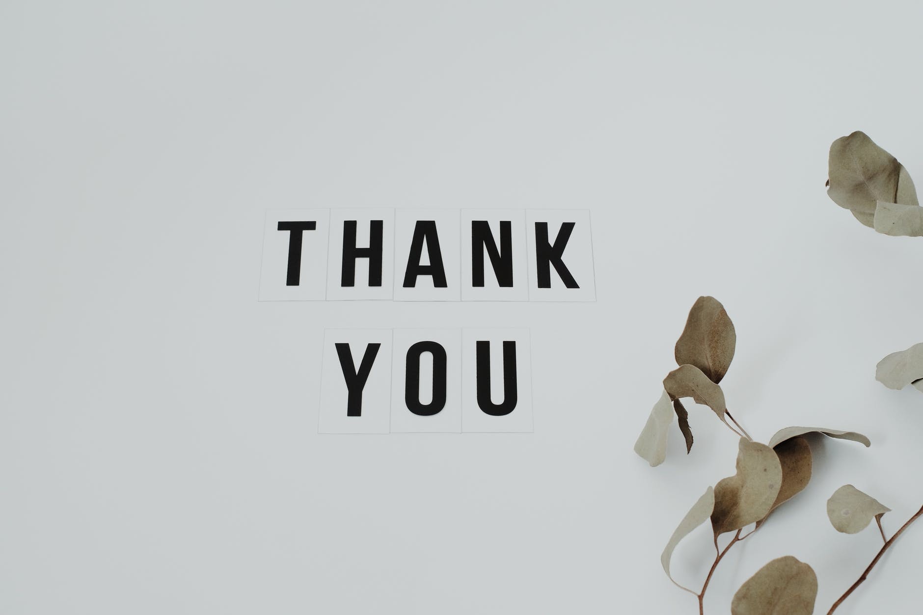 a sign that says 'Thank You' with leaves next to it