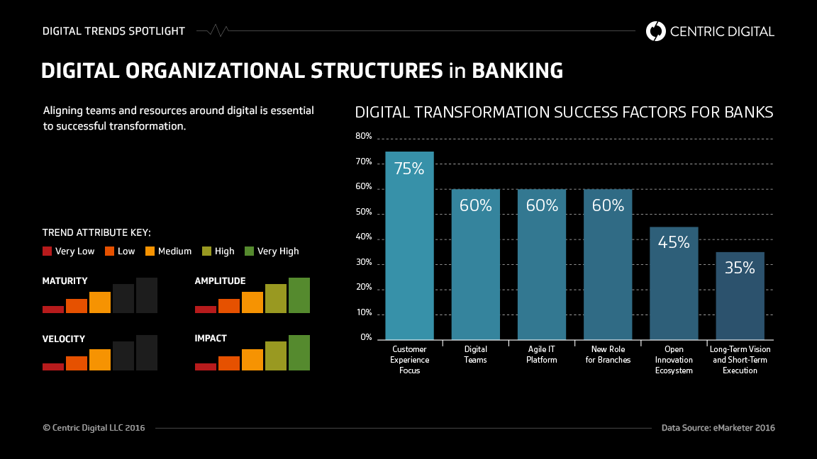 Understanding Digital Organization Models for Commercial and Regional