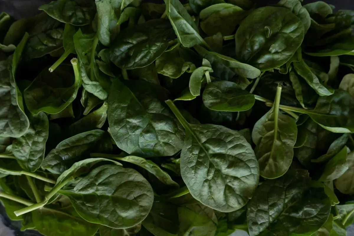Spinach Coconut Curry Soup