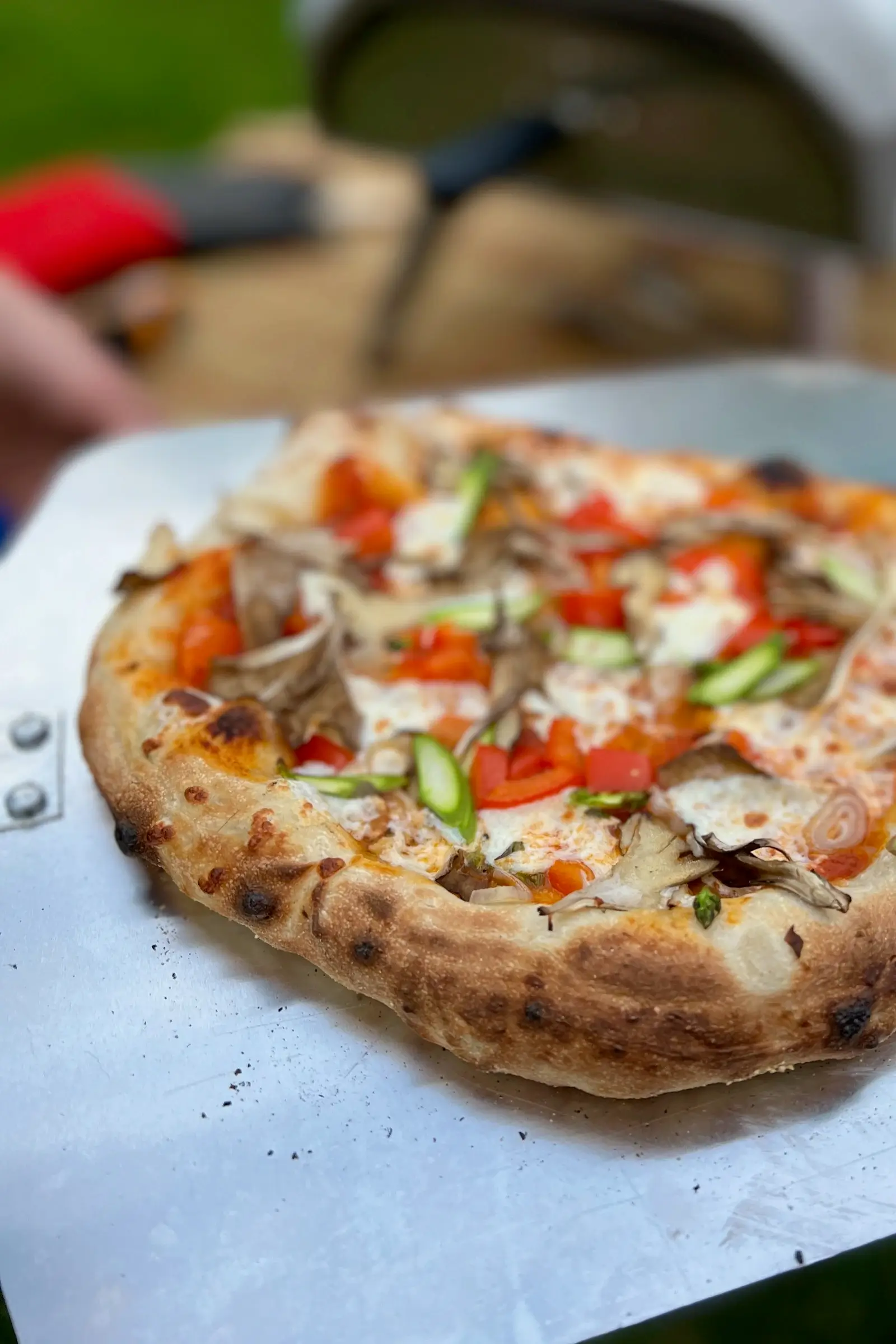 Guide to Hen of The Woods Mushrooms (Maitake Mushrooms)