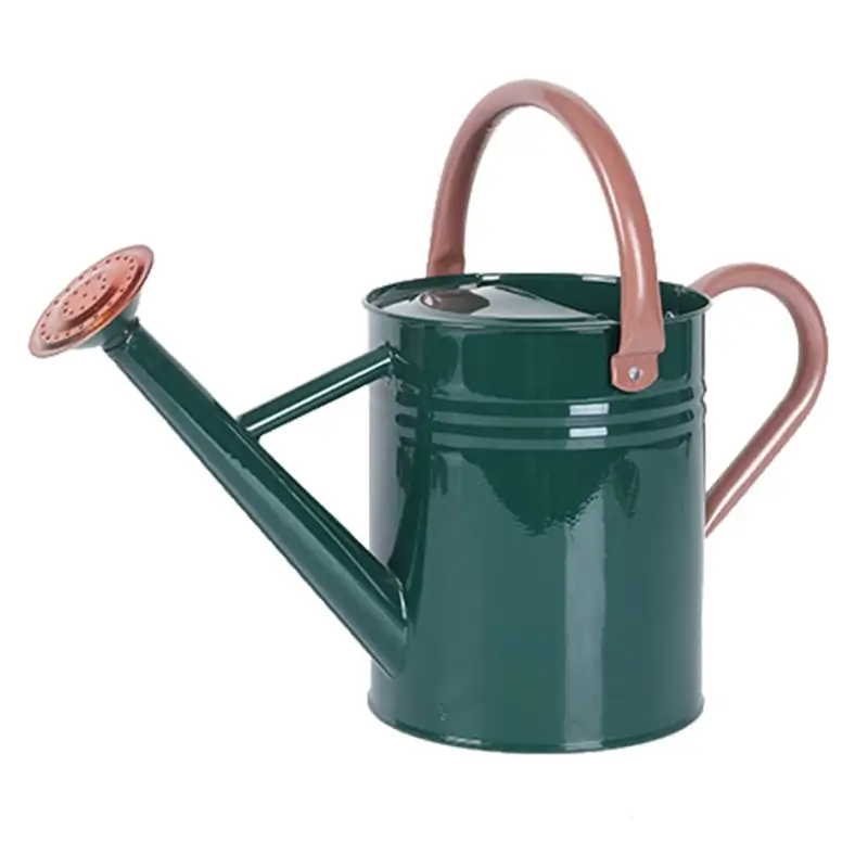 Metal Watering Can
