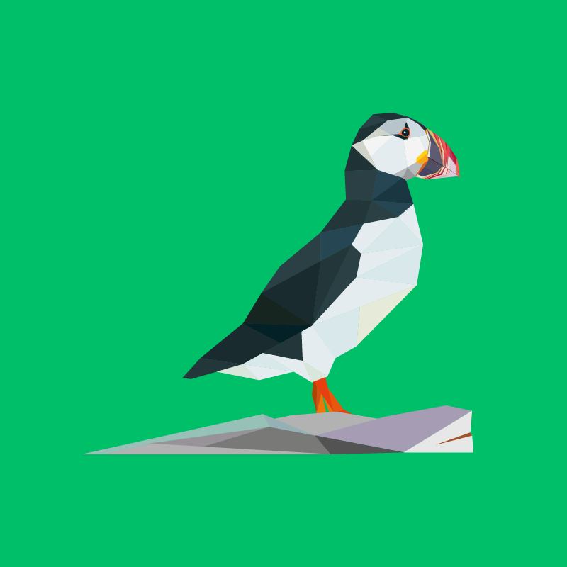 Puffin