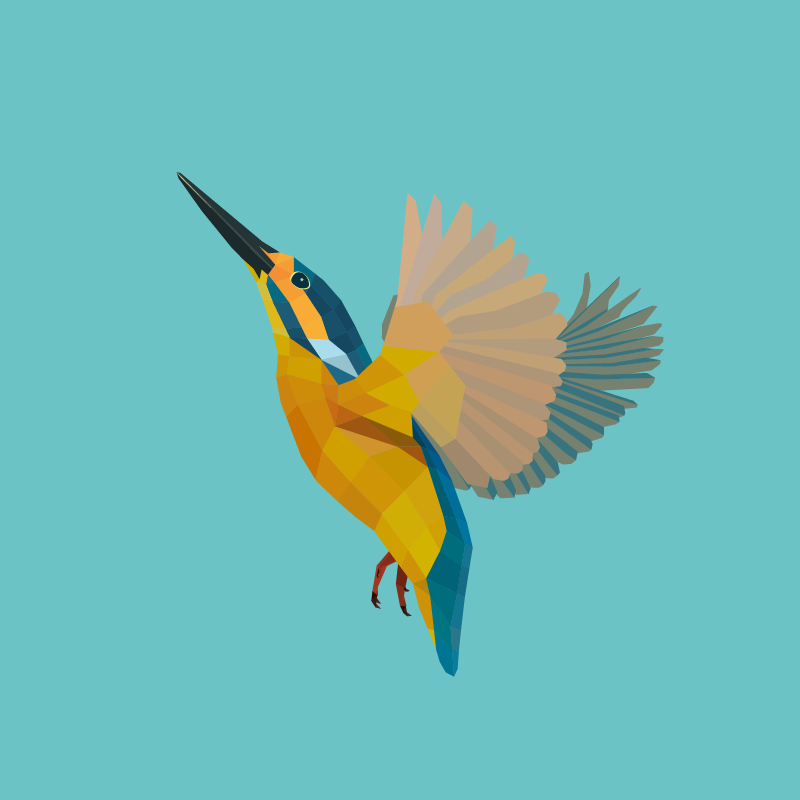 Hummingbird
