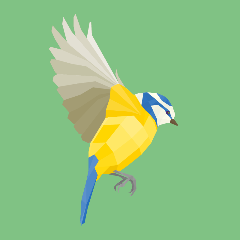 Blue Tit