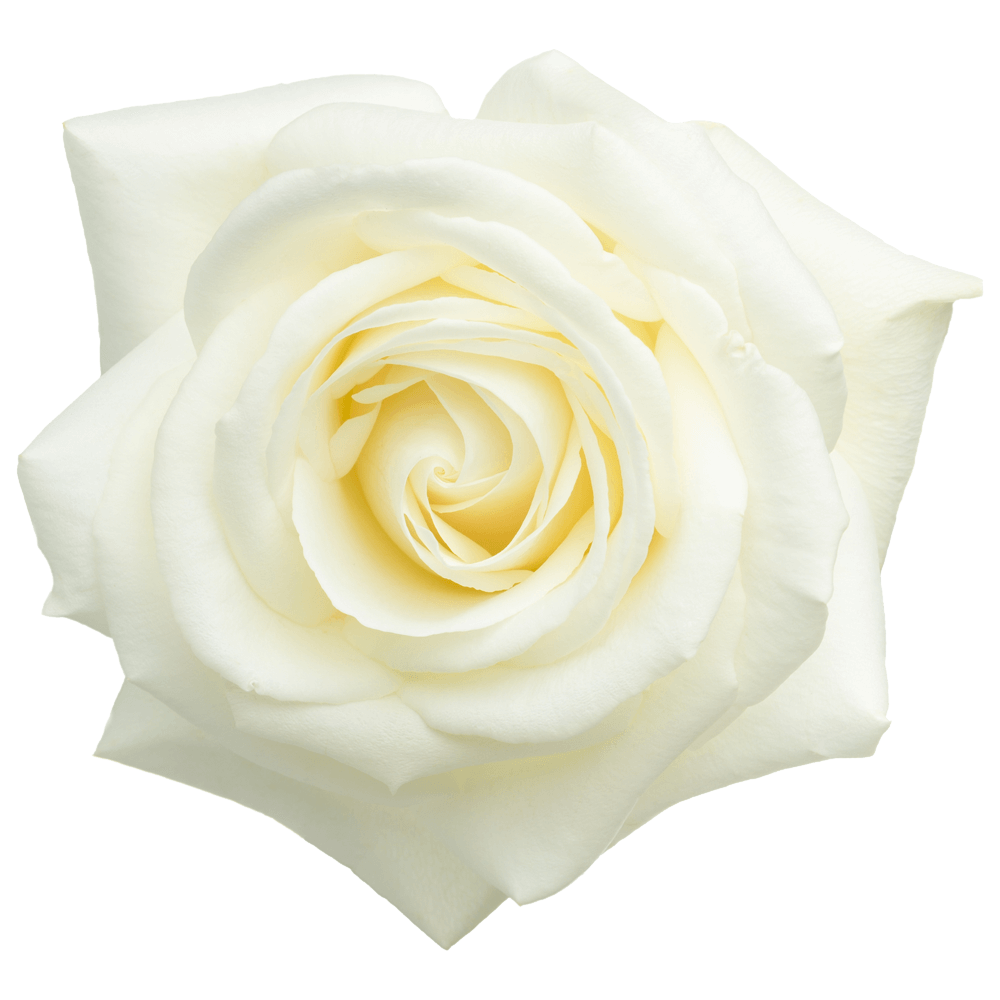 Body Polish Boutique