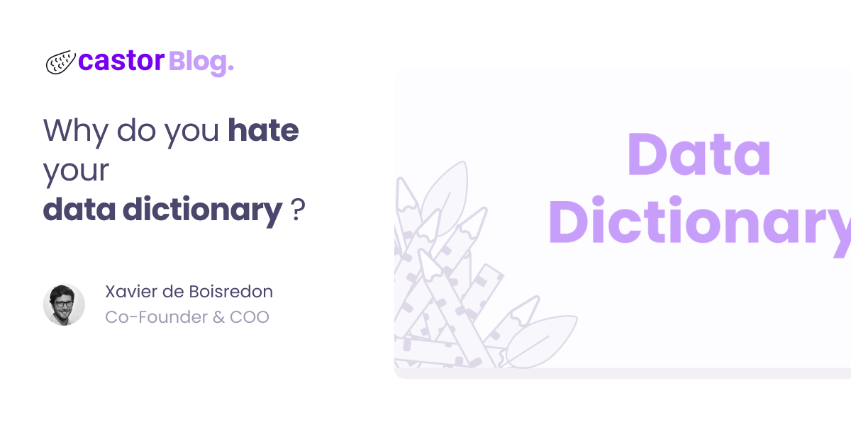 Why do you hate your data dictionary ? - Castor Blog