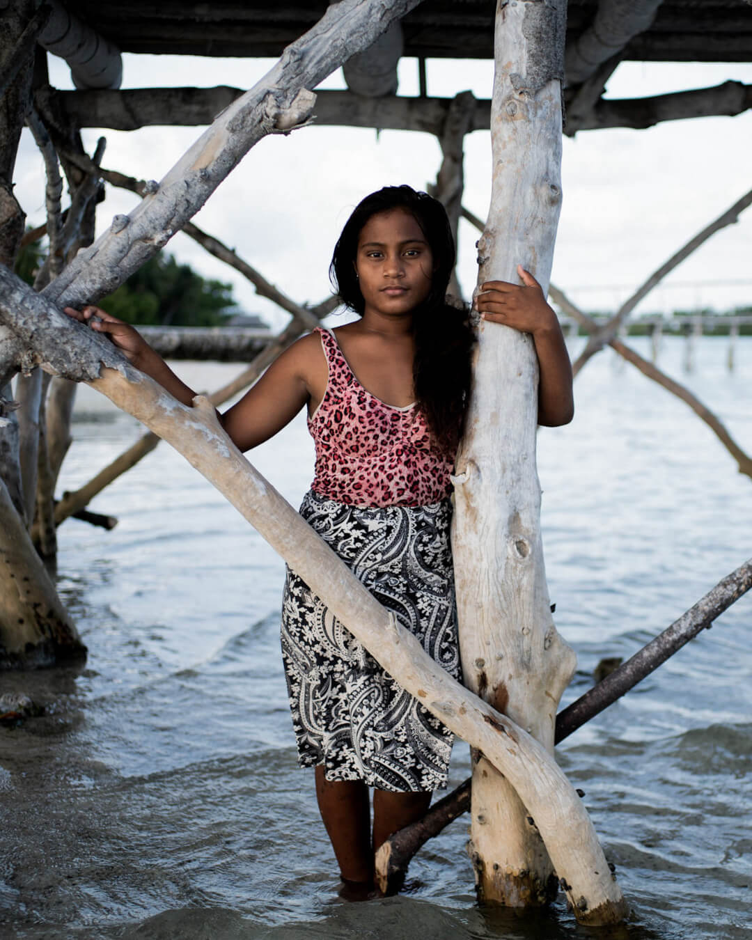 Snaking forest through jungle