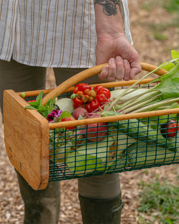 Eco responsable restauration