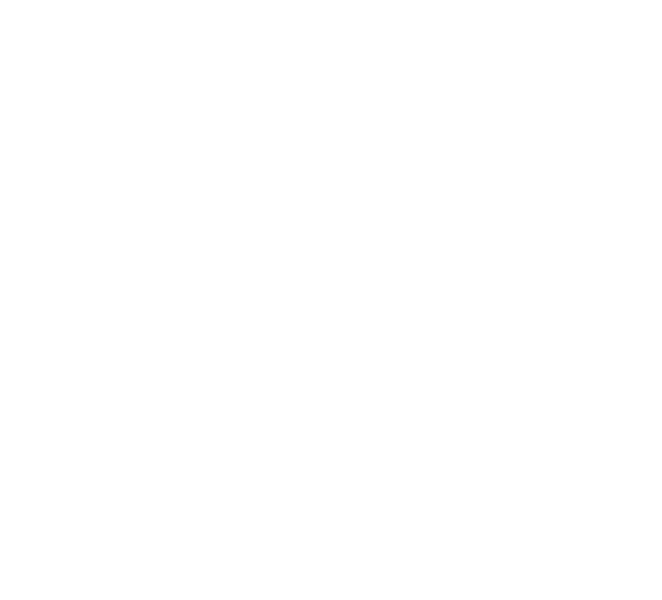 Vantage Ideal Partner | Market Leader