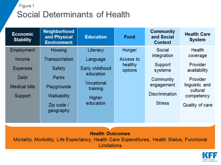 a list of social determinants of health: economic stability, environment, education, food, health care.