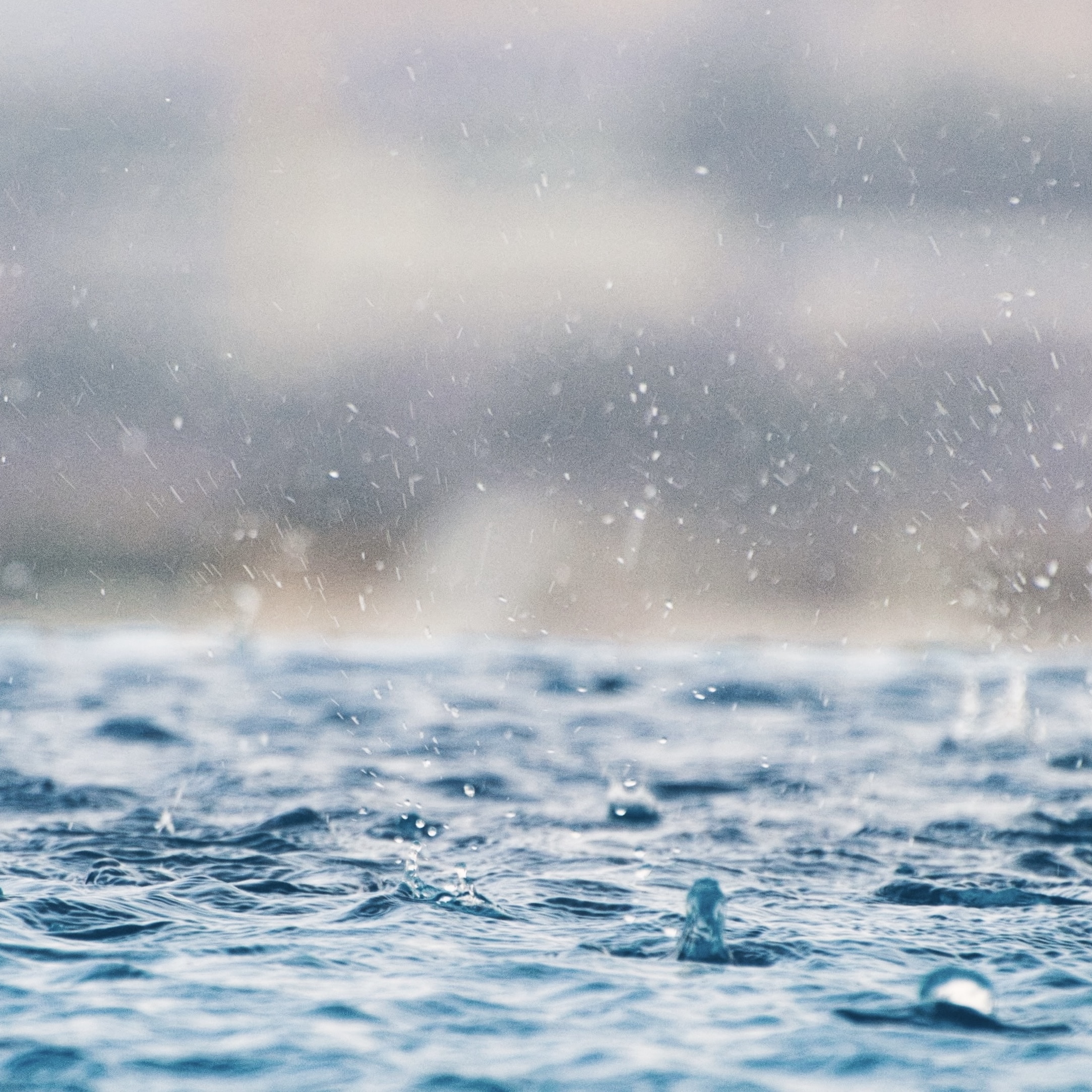 LoRaWAN® Rain Gauge XTELIA launches new tool to help cities with