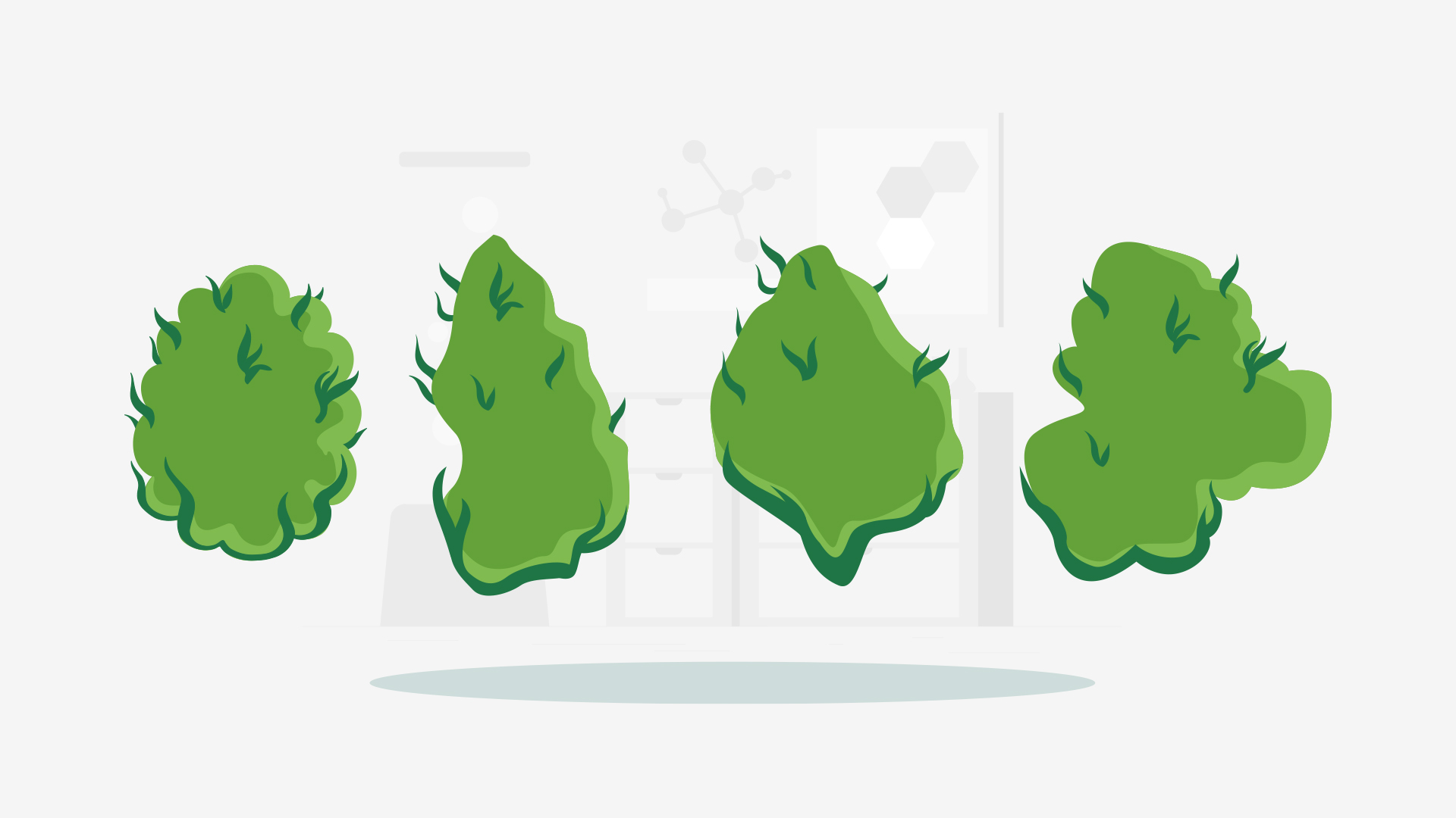 best CBD strains