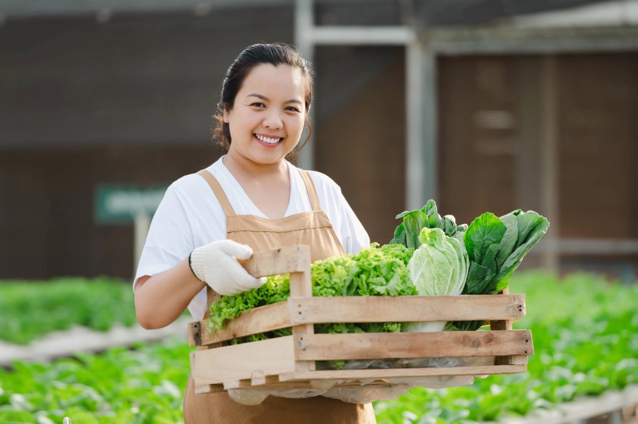 Cara Kirim Kargo Sayur Buah dan Makanan Segar ke Seluruh Indonesia