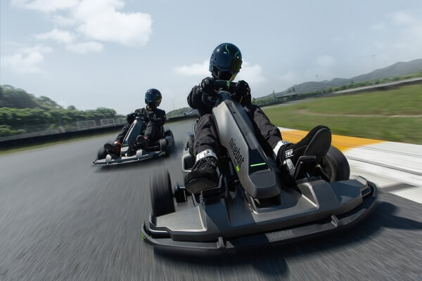 Gokart pro