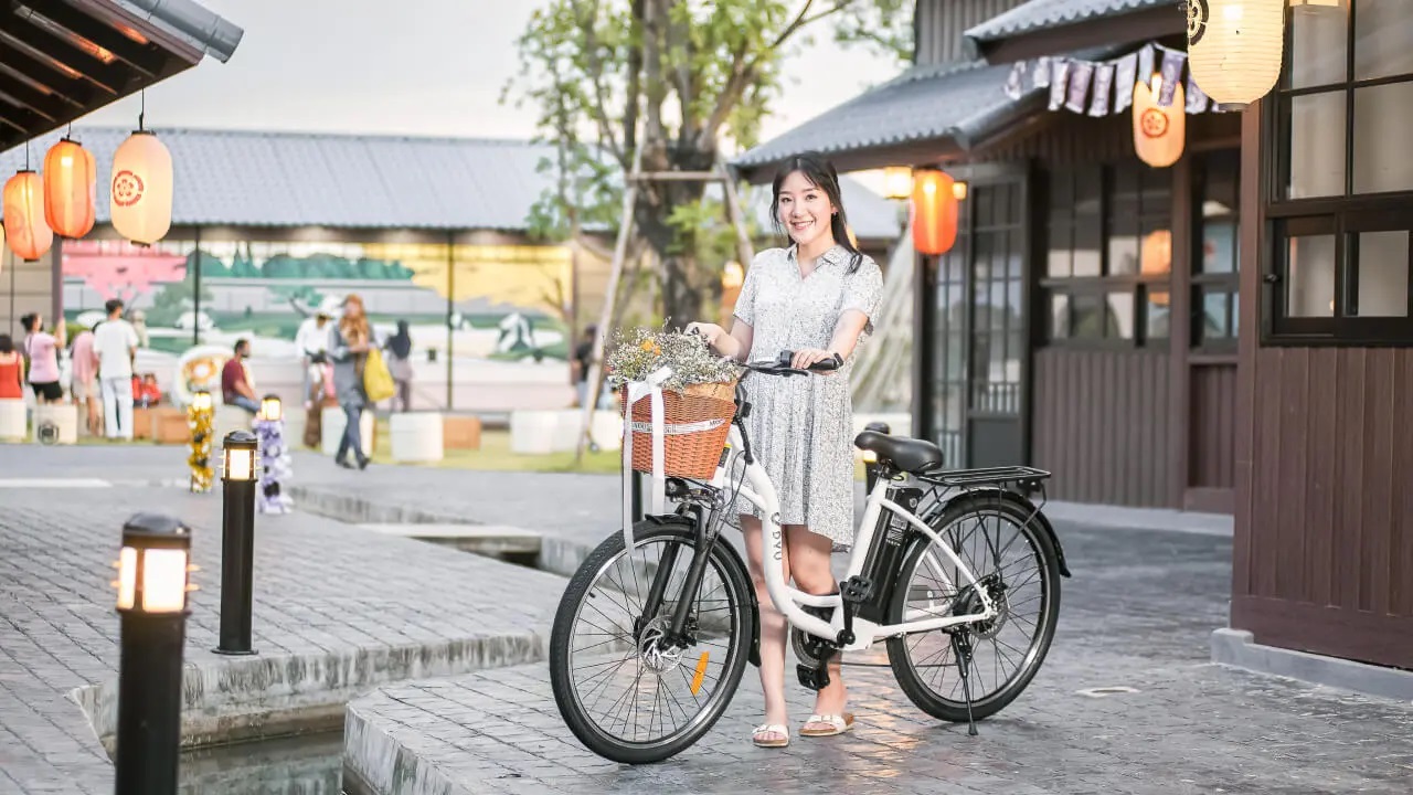 จักรยานไฟฟ้าผ่อนได้ รุ่น DYU C6