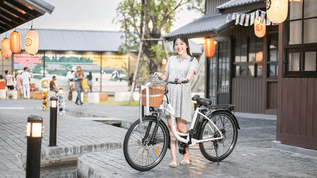 จักรยานไฟฟ้า DYU C6