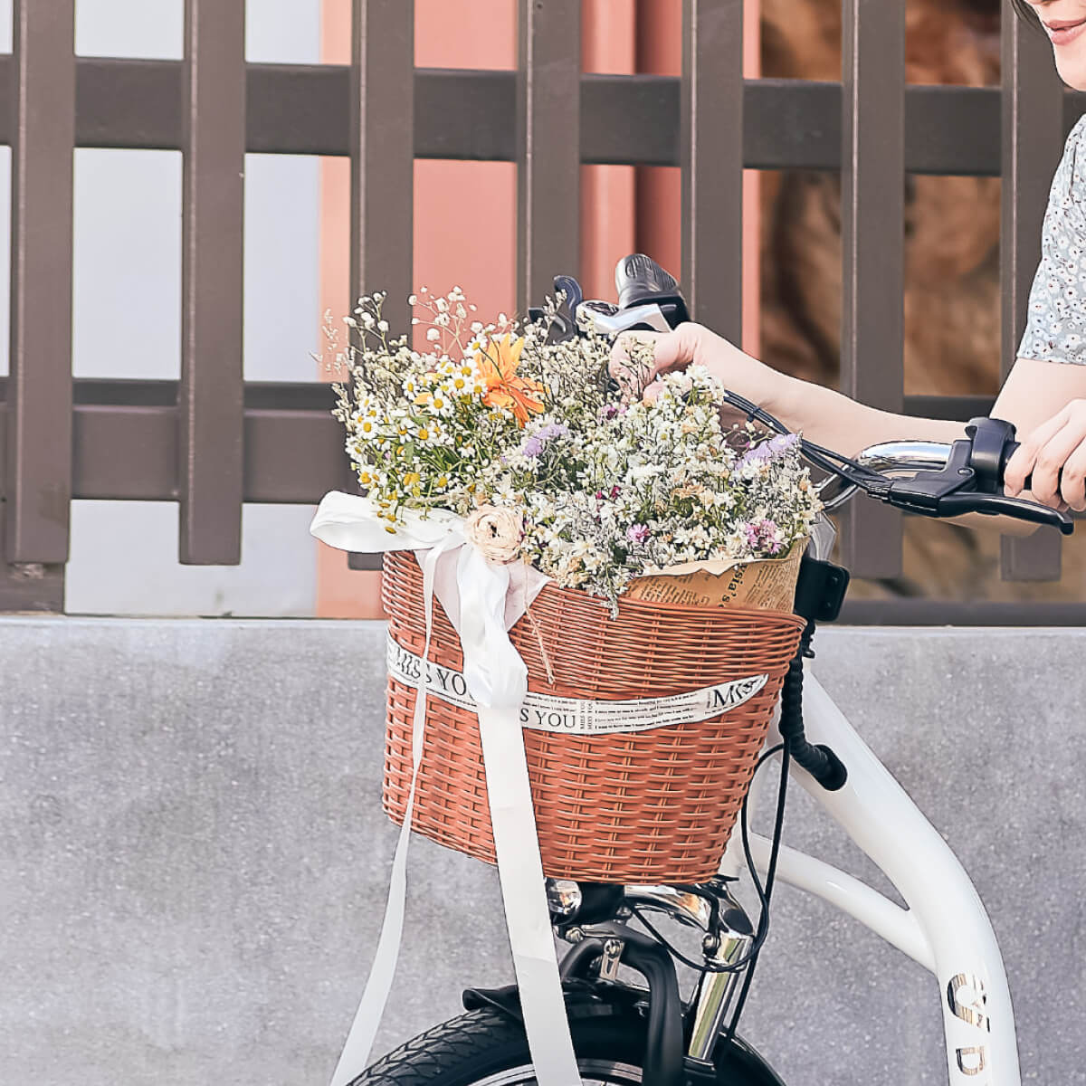 ภาพ: ตะกร้าเสริมด้านหน้า