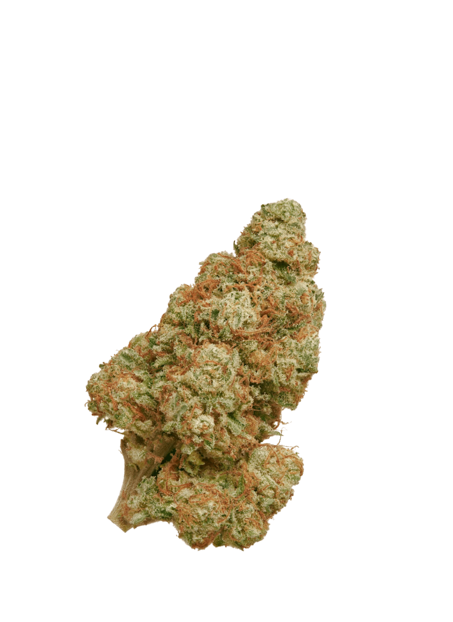Third Eye Cannabinoids's Cheese CBD flower is the highest quality premium indoor flower made in Italy. Completely unsatisfied with the typical selection of flowers they found, they took time and care to find the very best producers in all of Europe. Their flowers combine all-natural production methods, great taste and aromas, and maximum relaxing effects. Cheese has become a new classic since it's refined, relaxing, and compact. CBD levels typically range between 6 to 8% with zero added pesticides, terpenes, isolates, or sprays. The cheesy and skunky taste is perfect to pair with tobacco alternatives or pure in your rolling paper, pipe or vaporizer. Third Eye Cannabinoids takes great care of every detail, so their flowers are preserved in Terpi Technology sealed pouches to preserve freshness and moisture.