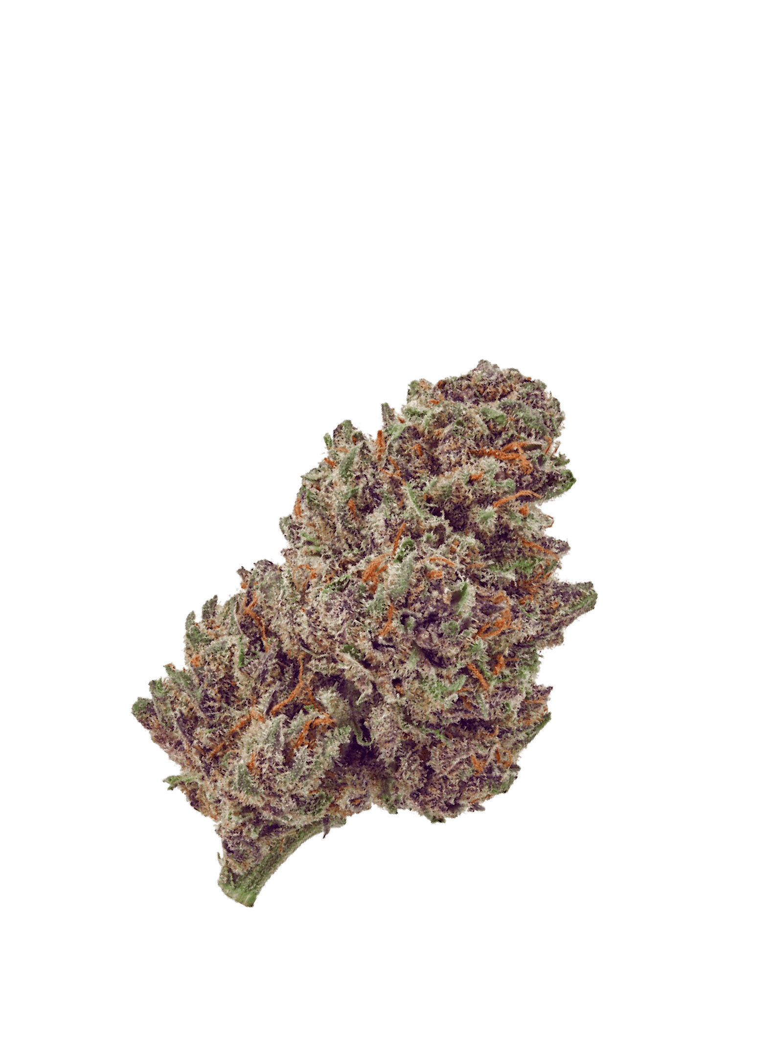 Third Eye Cannabinoids's Purple Punch CBD flower is the highest quality premium indoor flower made in Italy. Completely unsatisfied with the typical selection of flowers they found, they took time and care to find the very best producers in all of Europe. Their flowers combine all-natural production methods, great taste and aromas, and maximum relaxing effects. The hybrid CBD strain is serene and relaxing. CBD levels for Purple Punch typically range between 6 to 8% with zero added pesticides, terpenes, isolates, or sprays. This CBD flower with fruity flavors and explosive taste is perfect to pair with tobacco alternatives or pure in your rolling paper, pipe or vaporizer. Third Eye Cannabinoids takes great care of every detail, so their flowers are preserved in Terpi Technology sealed pouches to preserve freshness and moisture.