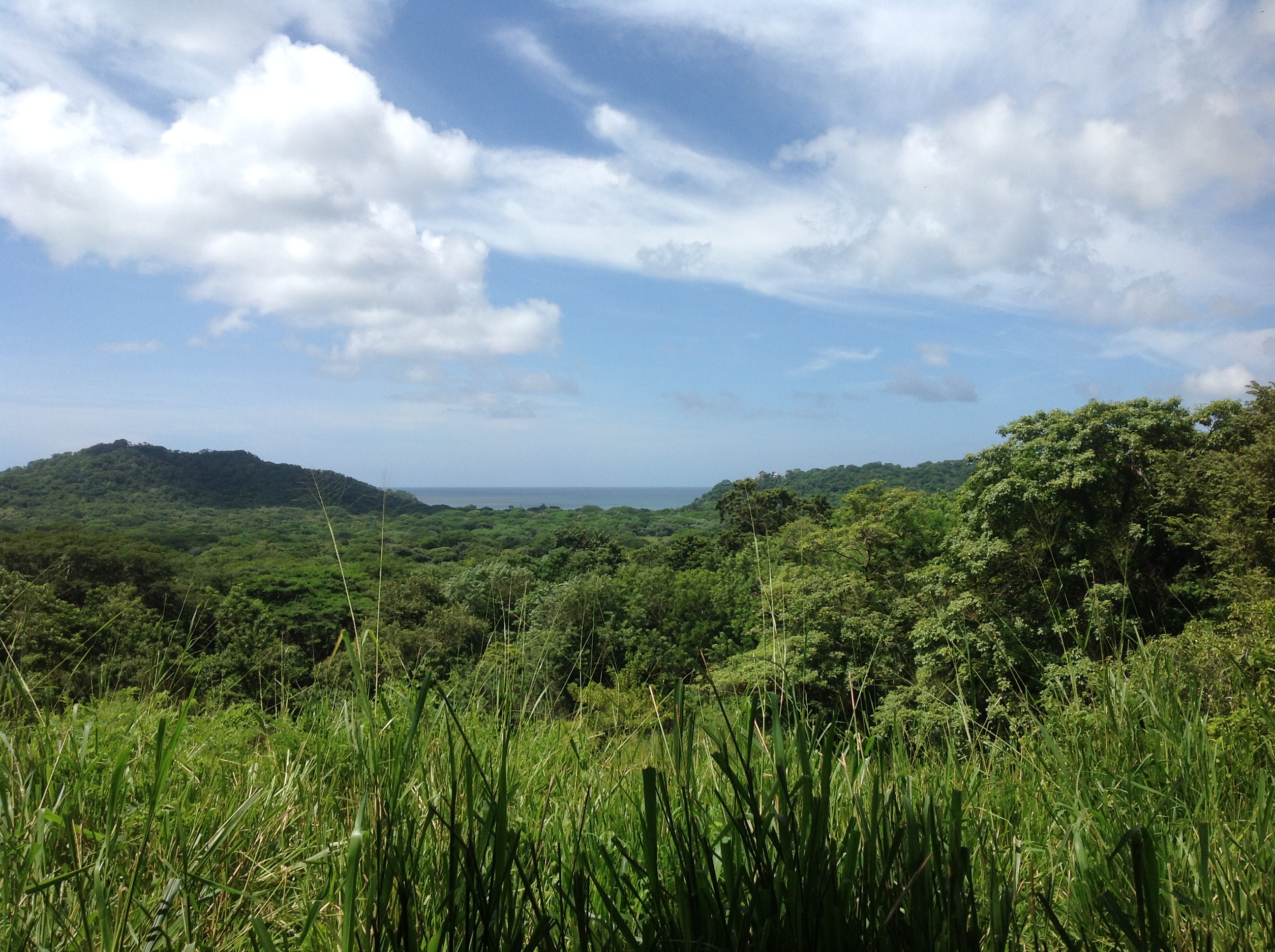 BVN Real Estate San Juan del Sur