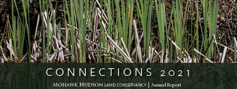 View Our 2021 Annual Report