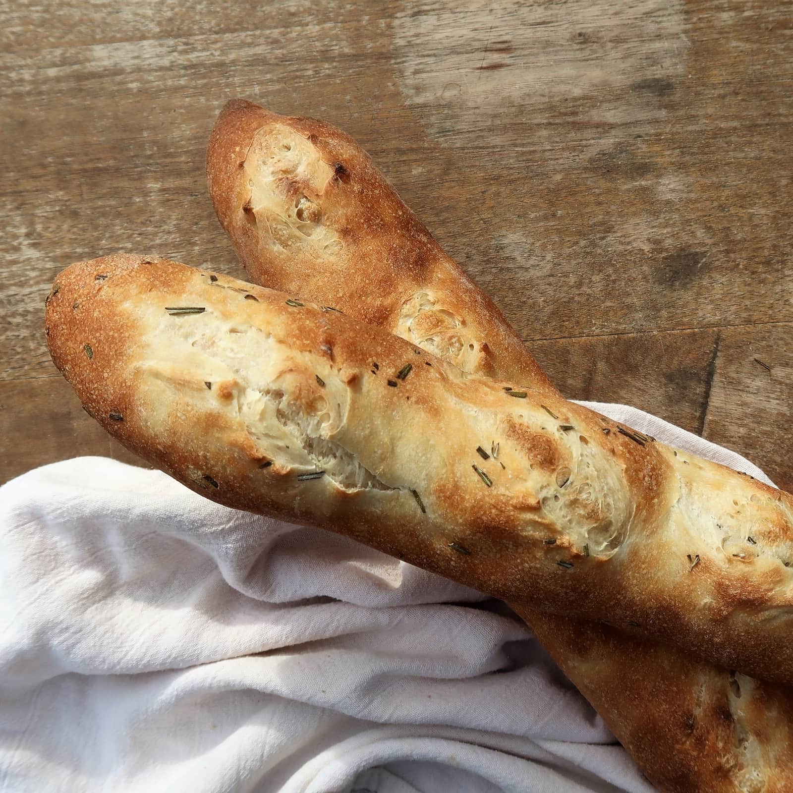 Vine Sourdough Bakery Gainesville, FL