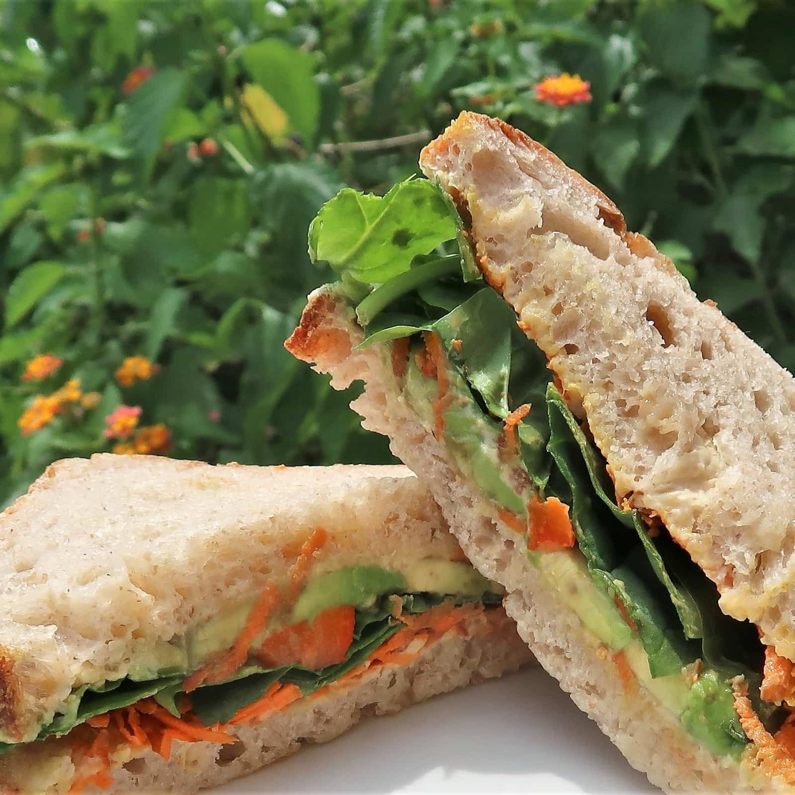 Hummus and Veggie Vine Sourdough Bakery, Gainesville FL