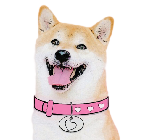 609f395e5f6022aba1ff8f40_dogegf_bakground-p-500.png