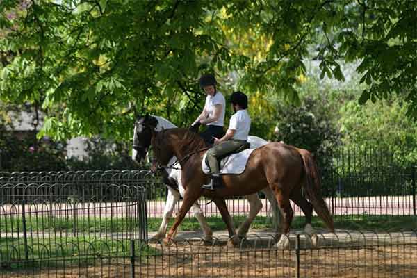 Horse Riding in Hyde Park