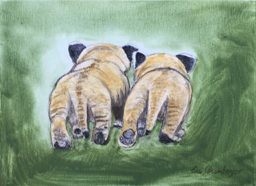 Der kleine Löwe Paul + Bruder Tim