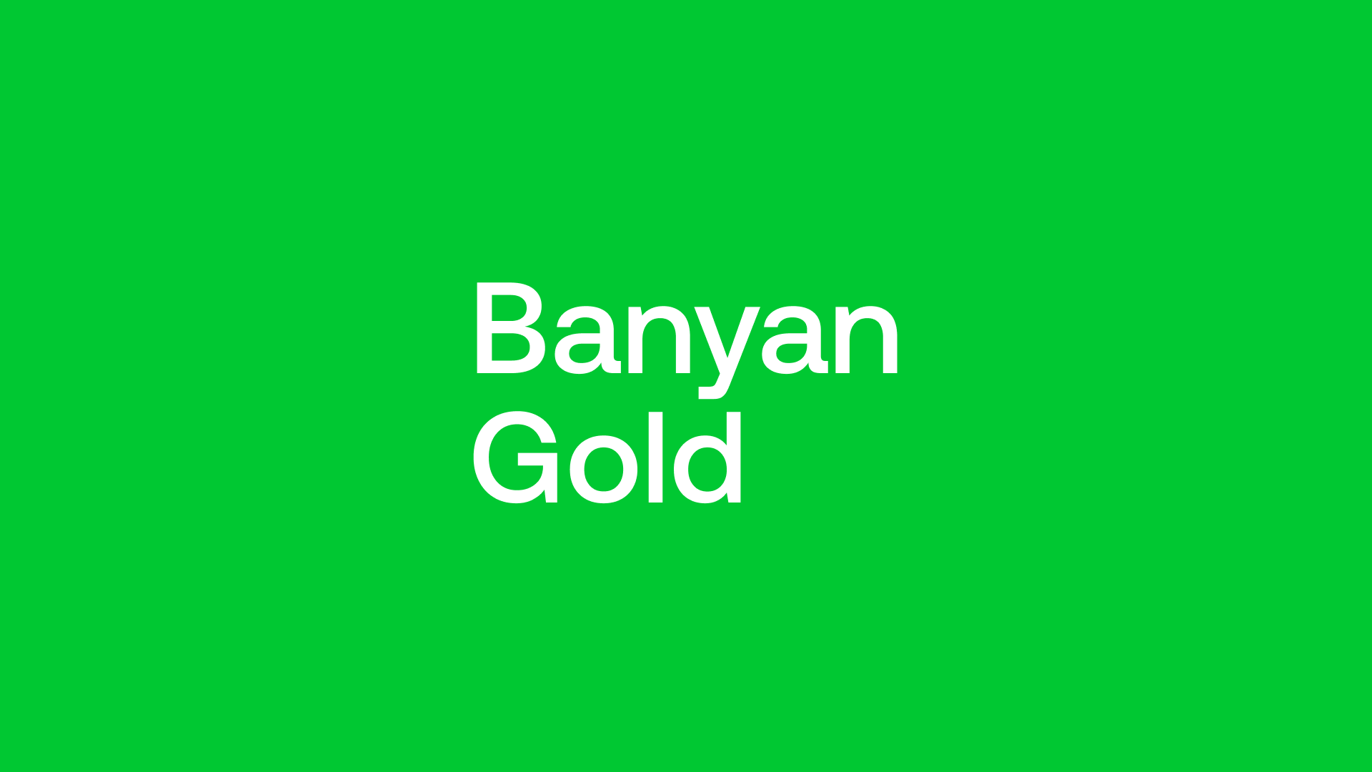 Banyan Gold (BYN) - Attractive Growth Story with More to Give