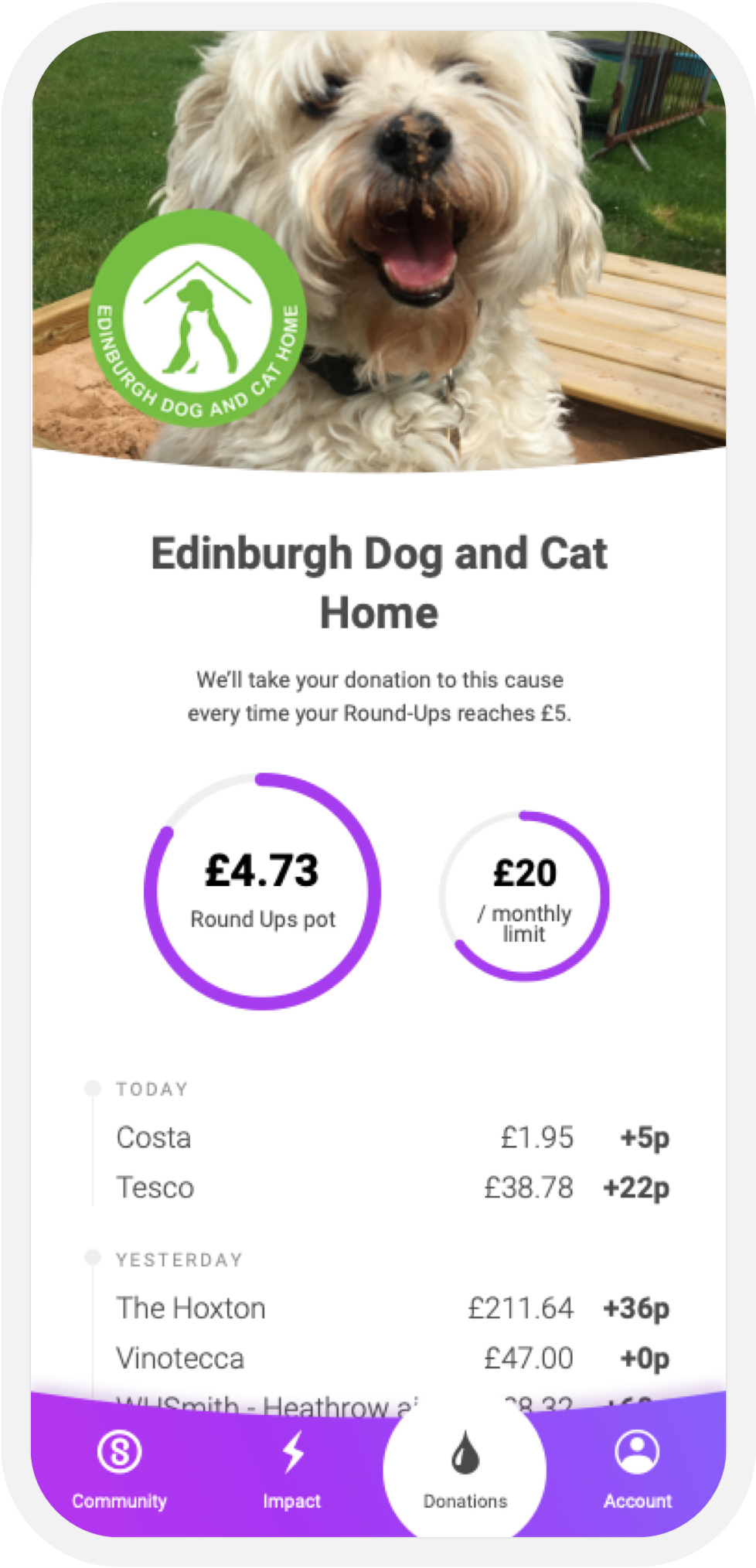 Support Edinburgh Dog and Cat Home on Sustainably