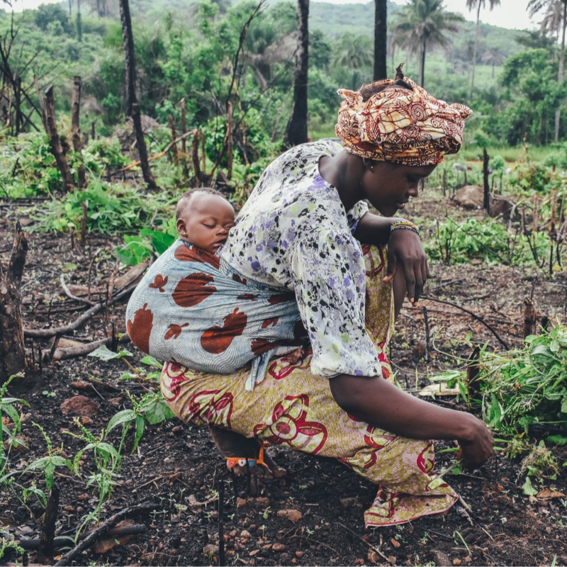 support awesome charities on Sustainably