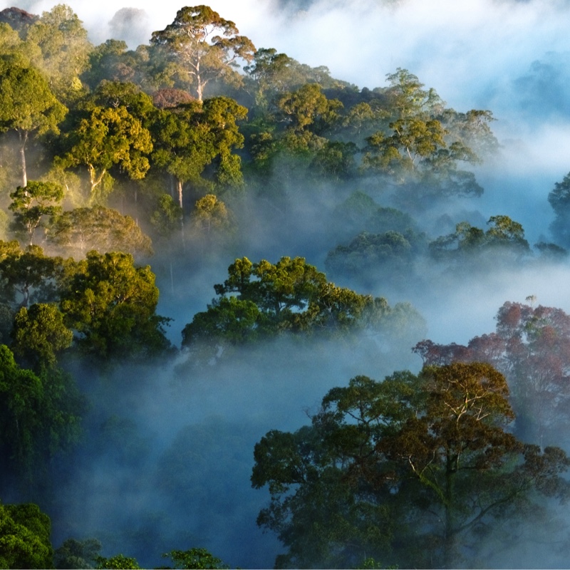 support awesome charities on Sustainably