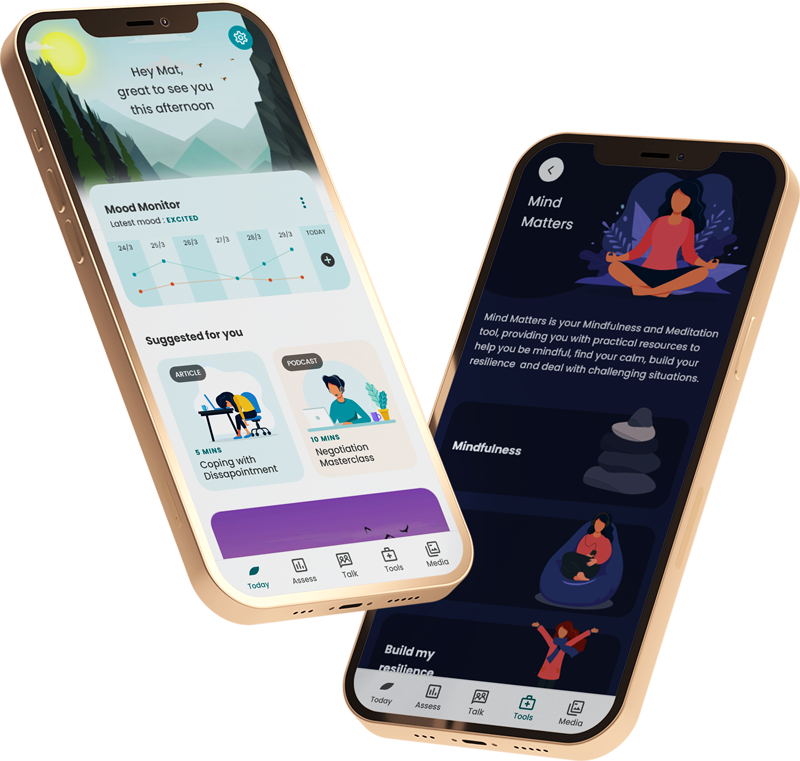 raiys app mock-up