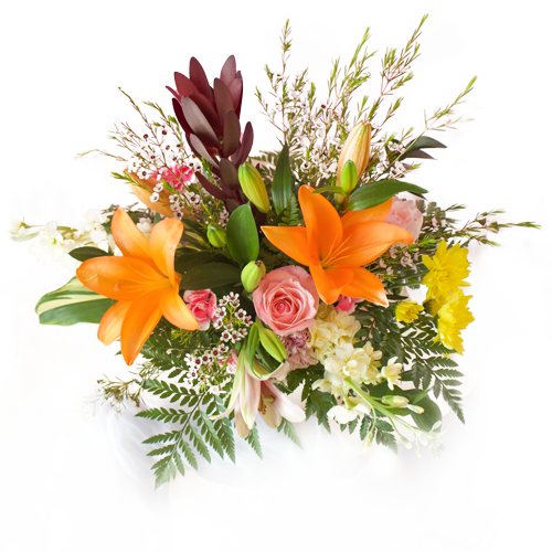 The Best Flowers to give to a Silk Flowers in Miami FlowerFairy
