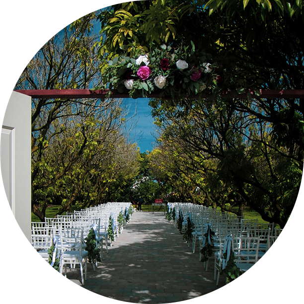 Best Wedding Florist in Miami (+5 decades) Flower Fairy