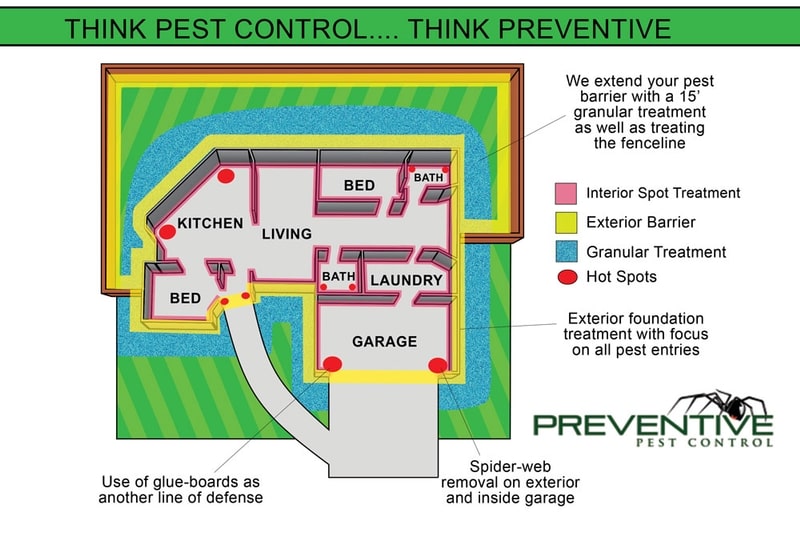 Pest Control Phoenix AZ 1 Best Pest Exterminator & 100 Guarantee