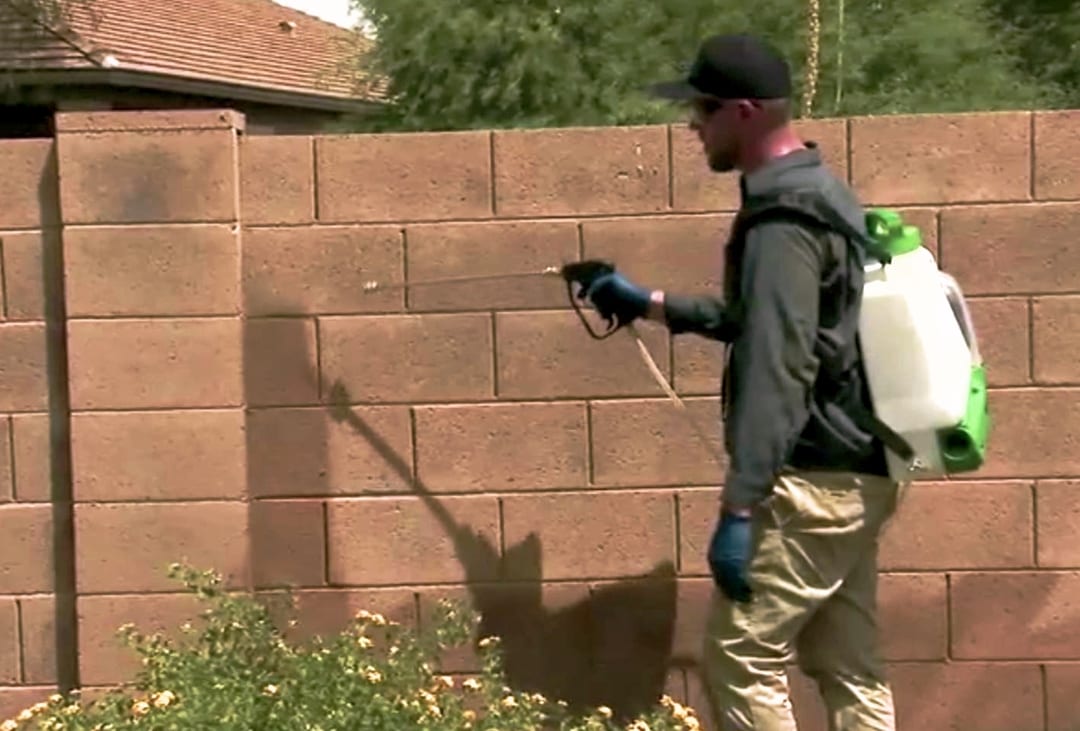 Pest Control Phoenix AZ 1 Best Pest Exterminator & 100 Guarantee