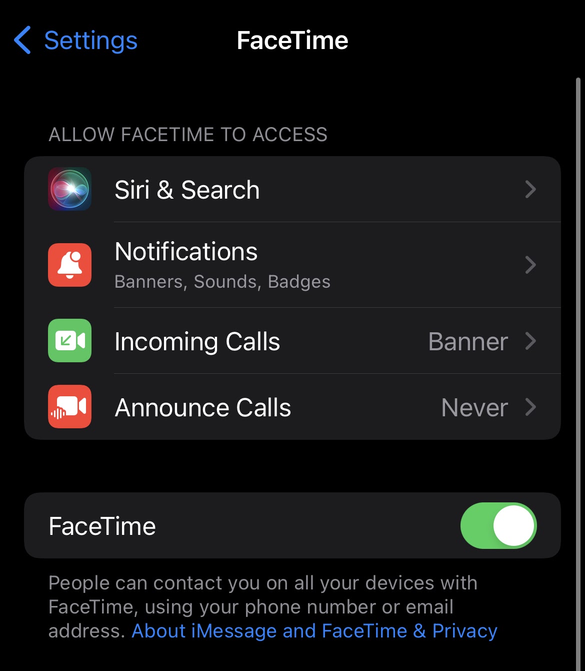 FaceTime settings panel on iPhone