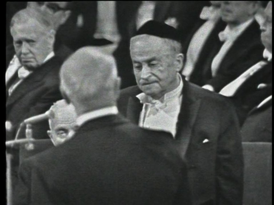 Shmuel Yosef Agnón